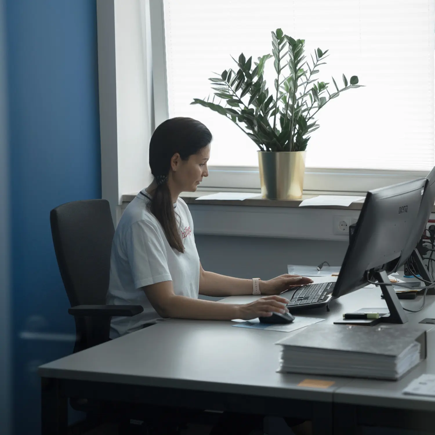 Frauen arbeiten im Büro. Von der Finomen GmbH